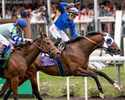 Equibase | Horse Racing | Horse Racing Entries | Horse Racing Results | Past Performances | Mobile | Statistics