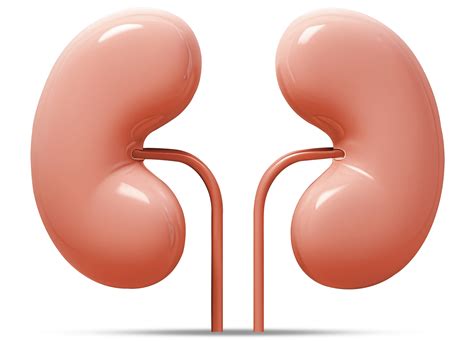 Benefits - Alkaline Natural Mineral Water – Natural Hege