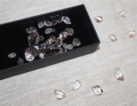 Primitive Nature 的图像结果