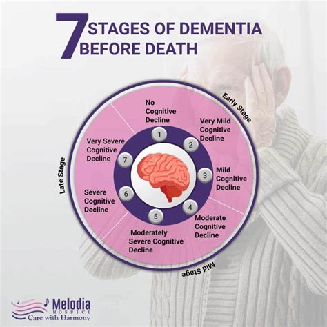 Final Stage Of Dementia What To Expect at Stephanie Brugger blog