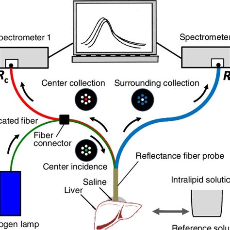 Image result for Diffuse Reflectance Probe