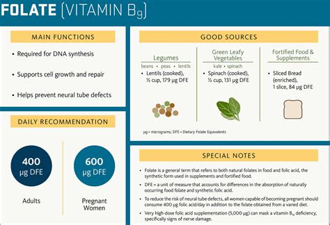 Homocysteine - Levels, Causes & Symptoms of High Homocysteine