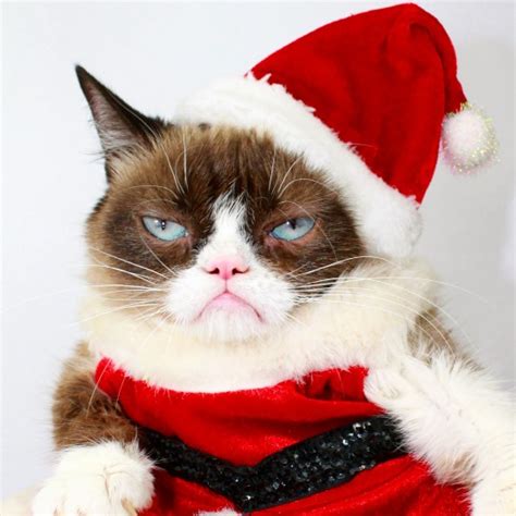 Image result for Grumpy Cat Game