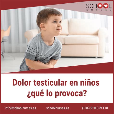 Dolor En Los Testiculos