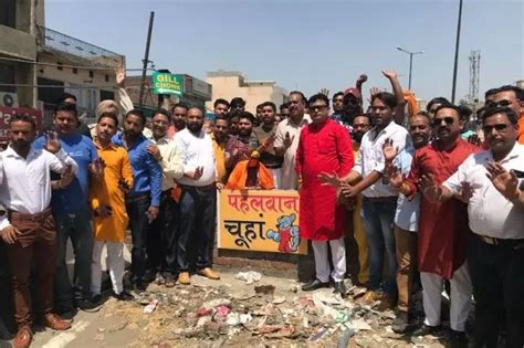 Remember The Rat Which 'Brought Down A Flyover' In Ludhiana? He's Now ...