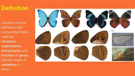 Genetics Introduction 的图像结果