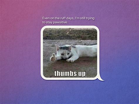 The Crying Cat Thumbs Up Meme, Explained
