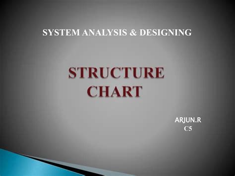 Structure Chart Algorithm 的图像结果