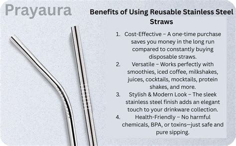 Stainless Steel Straws Set – 2 Bent + 2 Straight Reusable Straws with ...