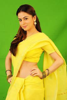 Shraddha arya Naughty Poses in Saree photo shoot for Kothi mooka