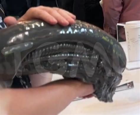 Alien: Romulus exclusive popcorn bucket picture leaked online!