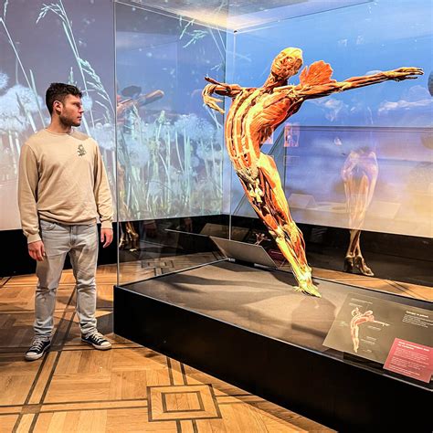 Body Worlds - Vital exhibition in Warsaw - Travel-Mates.PL ENG