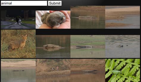 Image result for JavaScript Like Flickr