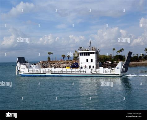 Magnetic Island, Queensland, Australia-September 1, 2017: A close up ...