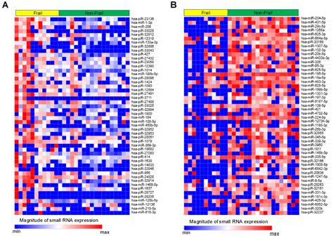 Small RNA Profiles of Serum-Derived Extracellular Vesicles in the ...