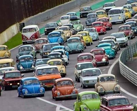 VW Car Show FREE Indoor Traders Mall Reidland Ky , Traders Mall/Traders ...