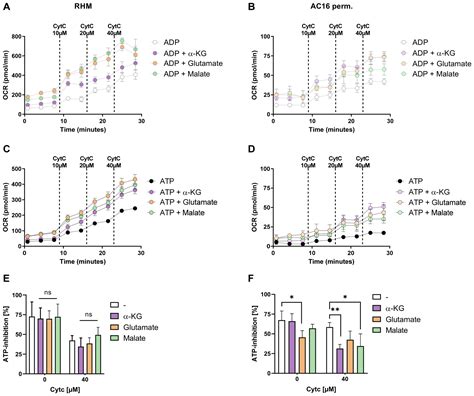 Inhibitory Effect of ATP on Cytochrome c Oxidase Depends on Electron ...