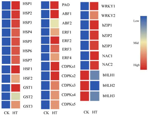Transcriptomic Analysis Provides Novel Insights into the Heat Stress ...