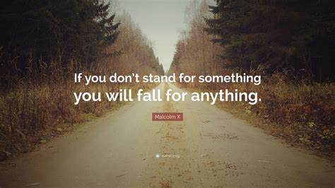 Malcolm X Quote: “If you don’t stand for something you will fall for ...