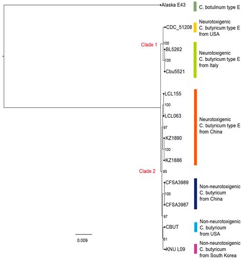 Novel Putative Transposable Element Associated with the Subtype E5 ...