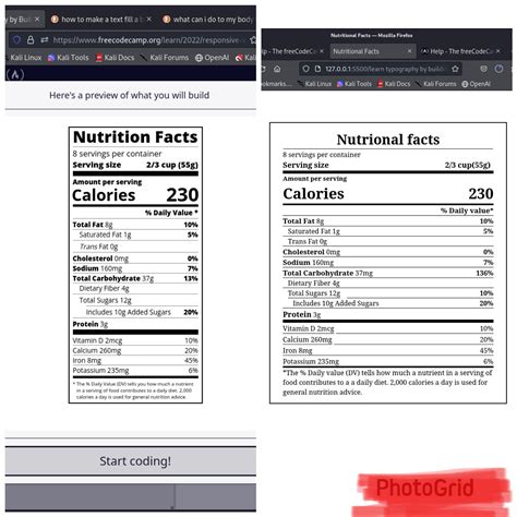 Image result for Freecodecamp Level 29 in HTML