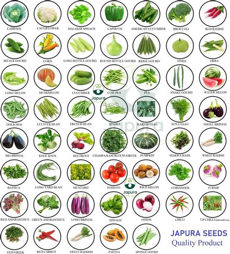Japura 50 variety vegetable seeds combo pack, vegetable seeds for home ...