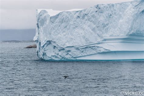 格陵兰岛 的图像结果