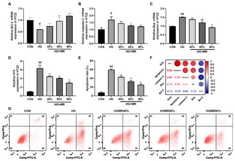 Methionine Restriction Improves Cognitive Ability by Alleviating ...