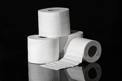 The Dirty History: Is Toilet Paper Biodegradable