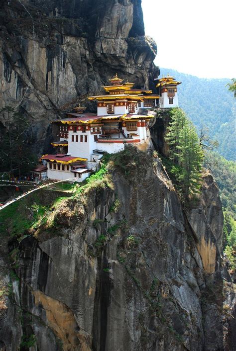Image result for Bhutan Python Coders