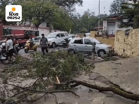 Rajasthan Cyclone Biparjoy Video Update; Barmer Jalore Rainfall Alert ...
