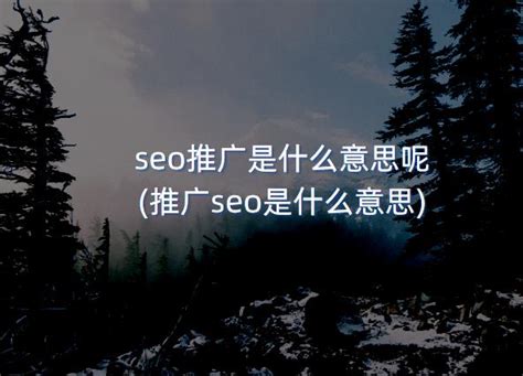 seo推广优化的方法（怎样做好seo推广优化）-8848SEO