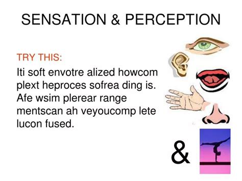 Image result for Sensation and Perception Examples