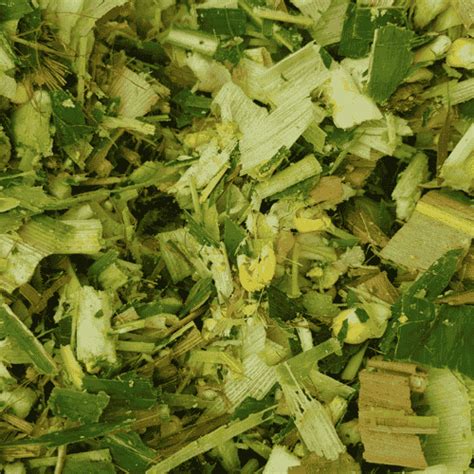 High-Performance Silage Balers & TMR Wagons | Legender