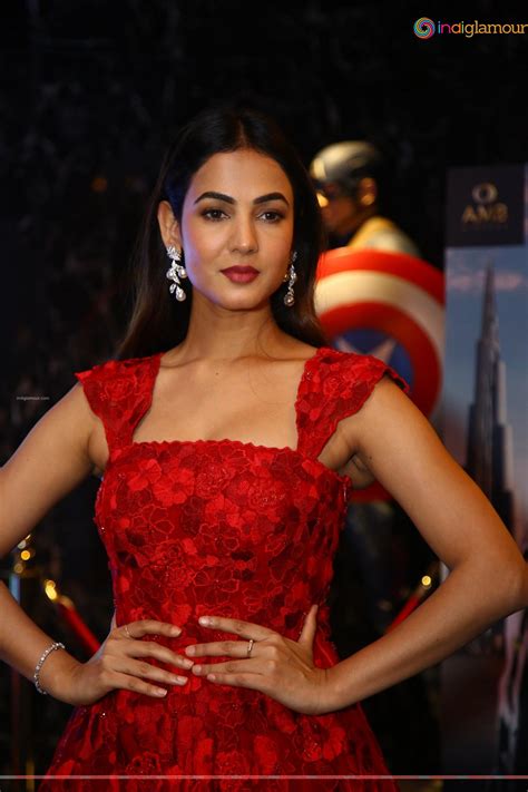 Sonal Chauhan Actress photo,image,pics and stills - # 552455