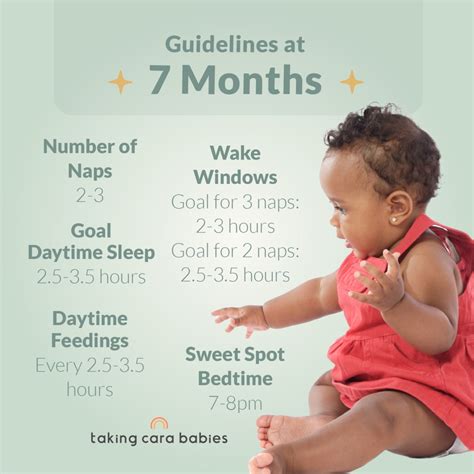 7 Month Old Sleep Schedule | Taking Cara Babies