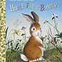 Image result for Cute Bunny Book Covers