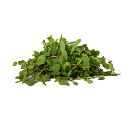 Shop Organic Vegetables Online – Save Big @Purity Prayag