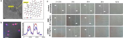 Multi-Fluorescent Carbon Nanostructures, Synthesis and Applications ...