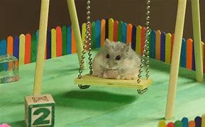 Image result for Fluffy Baby Hamster