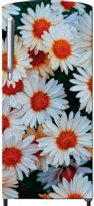 LoveBite 60 cm Decorative Fridge, Refrigerator Door Cover Sticker PVC ...