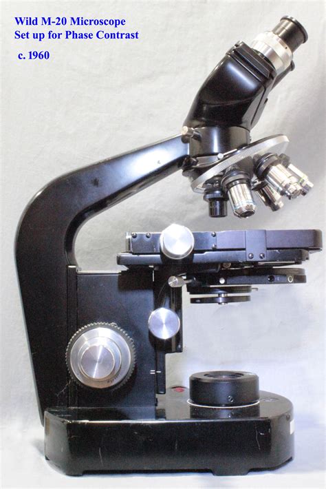 M20 Microscope for Phase Constrast
