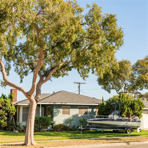 North Long Beach, Long Beach CA - Neighborhood Guide | Trulia