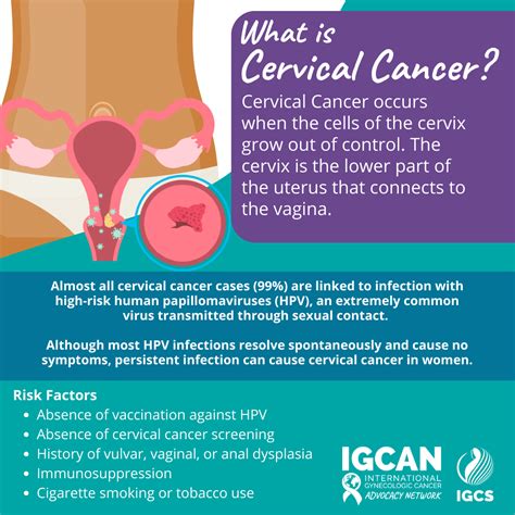 Cervical Cancer - IGCS