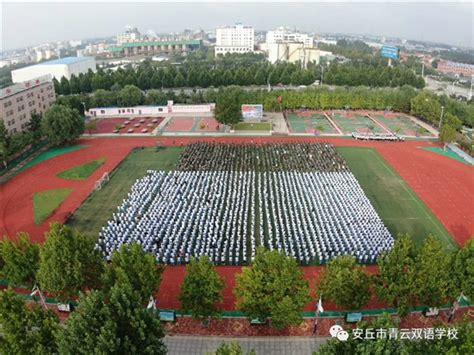 安丘市青云双语学校新年的第一波喜讯来袭_潍坊新闻_大众网
