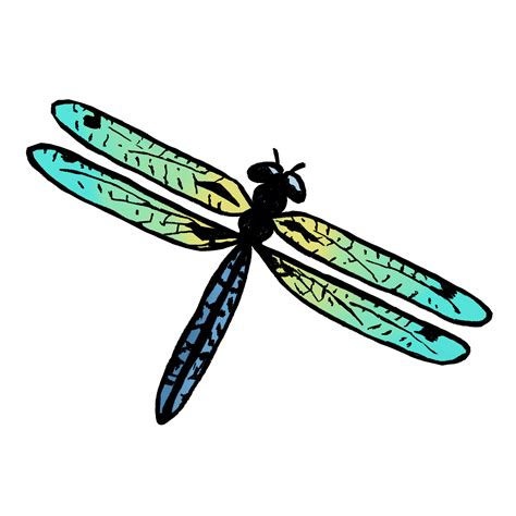 Dragonfly Drawing at Hunter Lilley blog