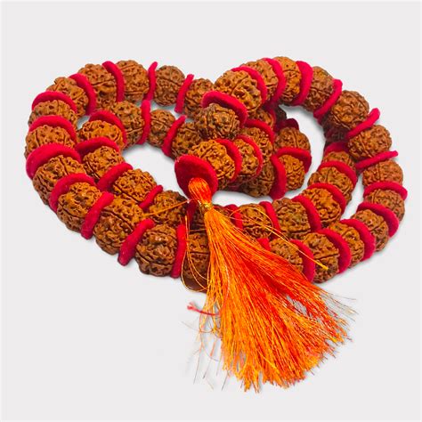 Rudraksha Rules You Must Never Break: Complete Wearing Guide & Myths E