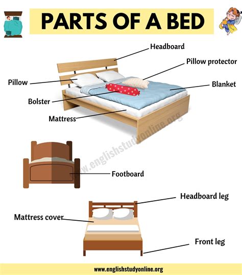 Parts of A Bed: Learn Useful Vocabulary about Bed Parts - English Study Online