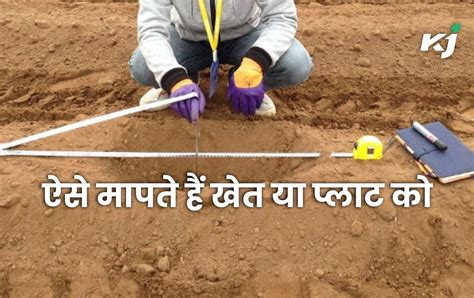 Cent Unit 的图像结果