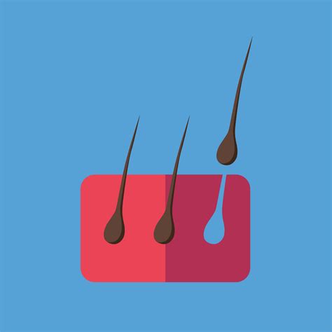 Honeylove vs Shapermint Shapewear Review | FinvsFin